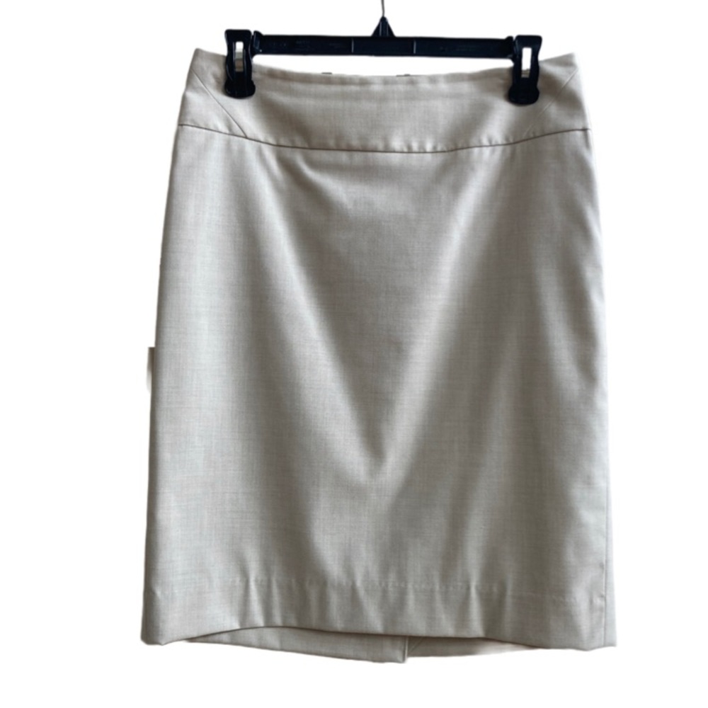 The Limited skirt